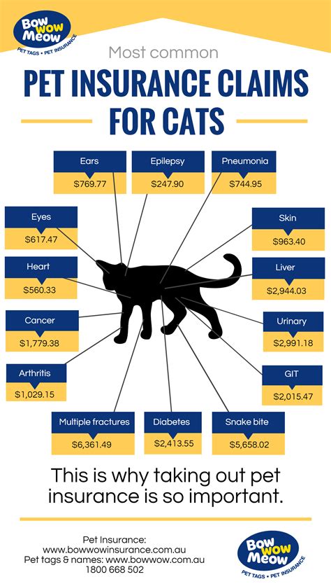 compare the market pet insurance for cats.